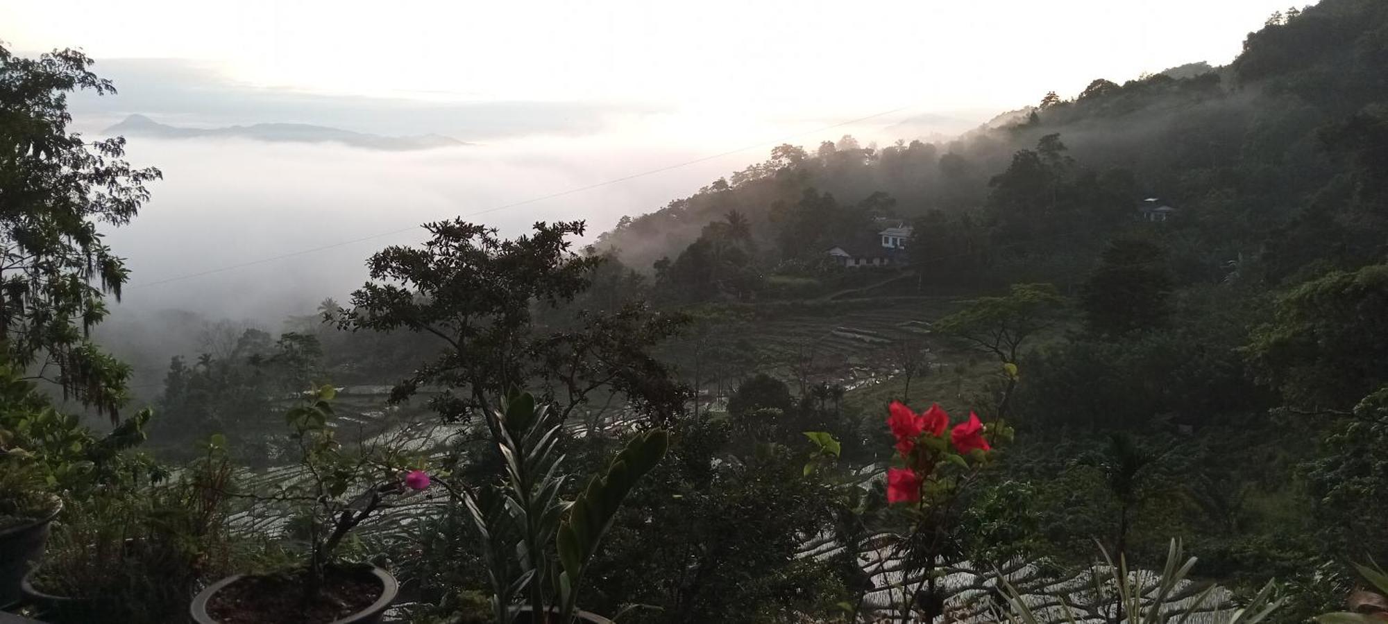 Kandy Ivy Mountain View Resort ห้อง รูปภาพ
