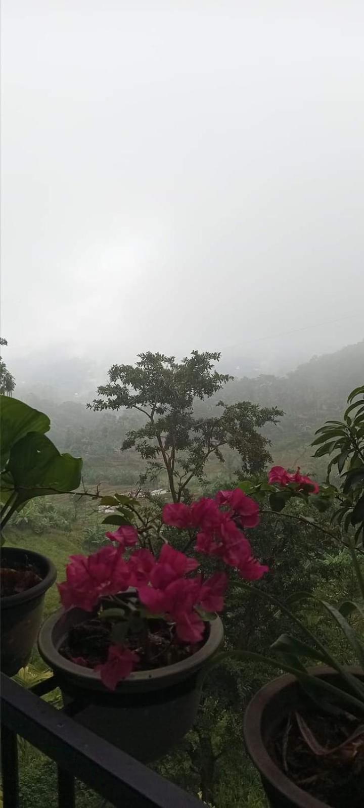 Kandy Ivy Mountain View Resort ภายนอก รูปภาพ